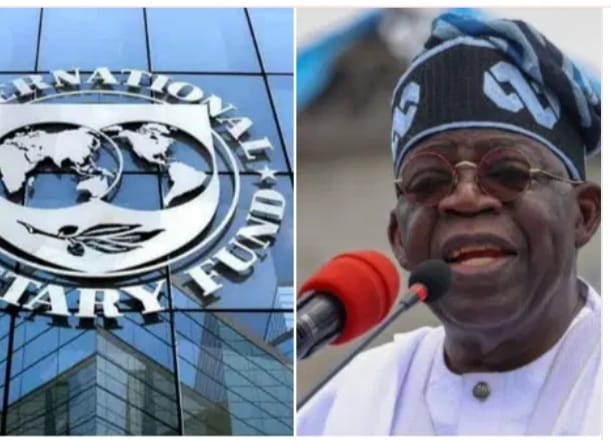 IMF and Tinubu